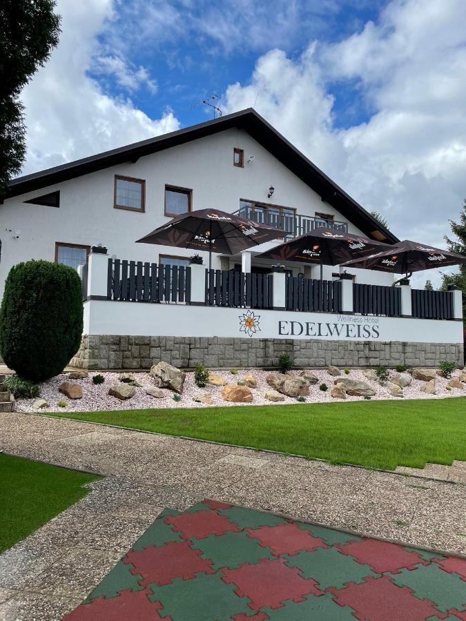 Wellness Hotel Edelweiss Liberec Kültér fotó