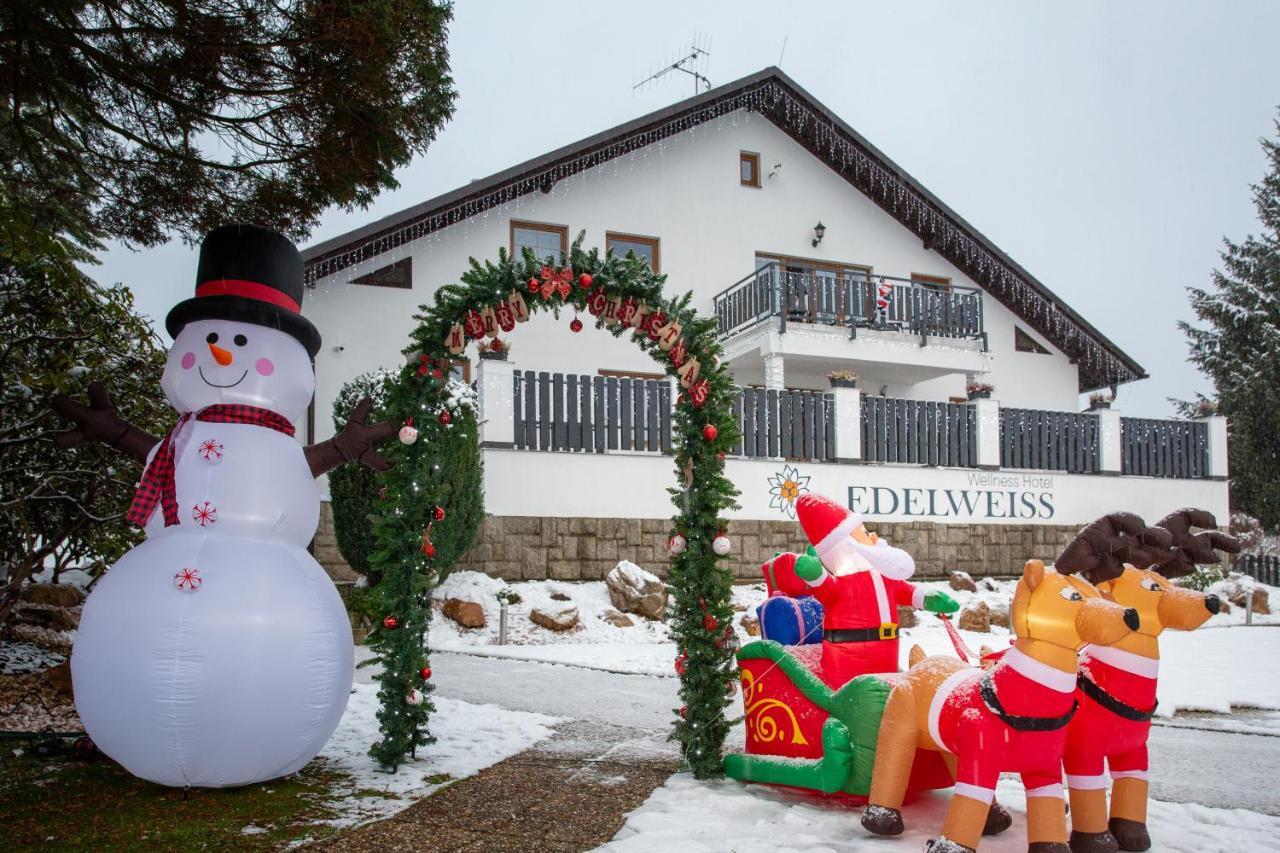 Wellness Hotel Edelweiss Liberec Kültér fotó